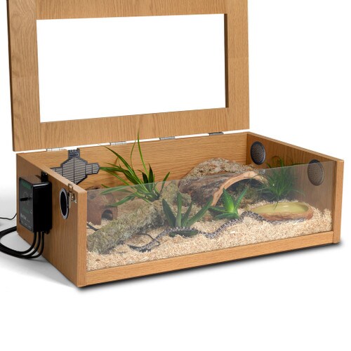 Terrainium Hatchling Snake Set Up